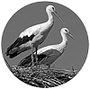 logo-bel.jpg